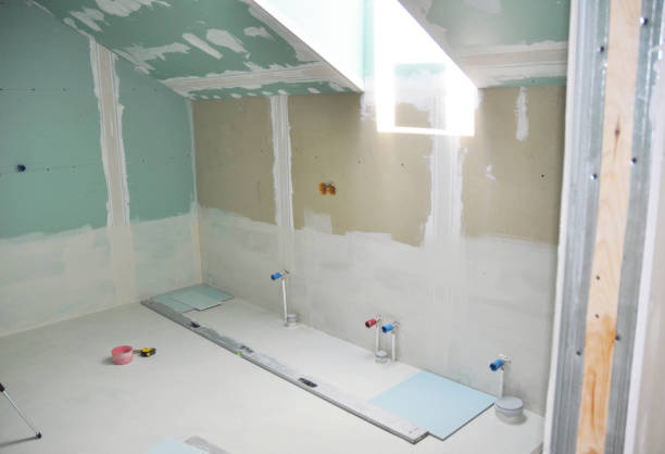 Best Post-Construction Mold Inspection  in Donalsonville, GA