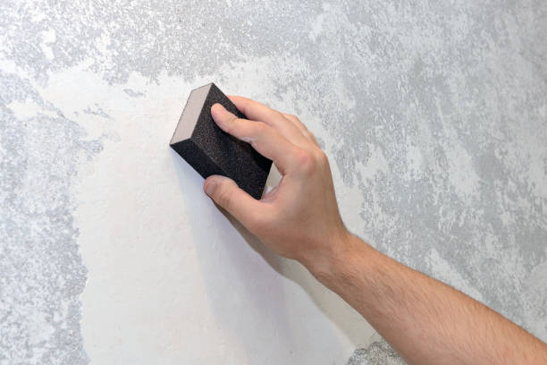 Best Mold Remediation for Vacation Homes  in Donalsonville, GA