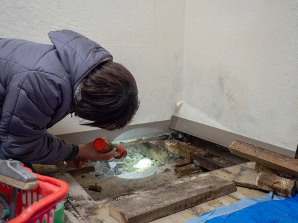Best HVAC Mold Inspection and Cleaning  in Donalsonville, GA