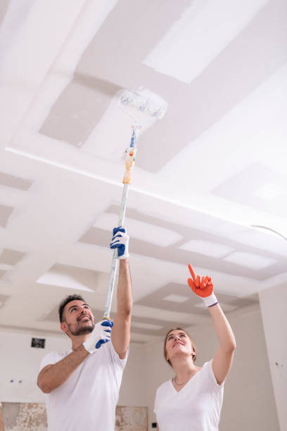  Donalsonville, GA Mold Removal Pros