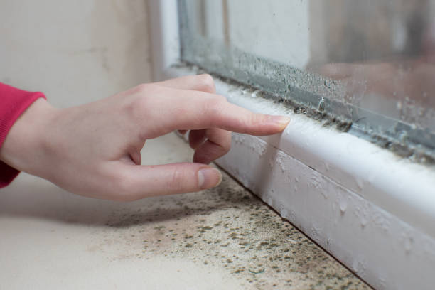 Best Dehumidification Services  in Donalsonville, GA