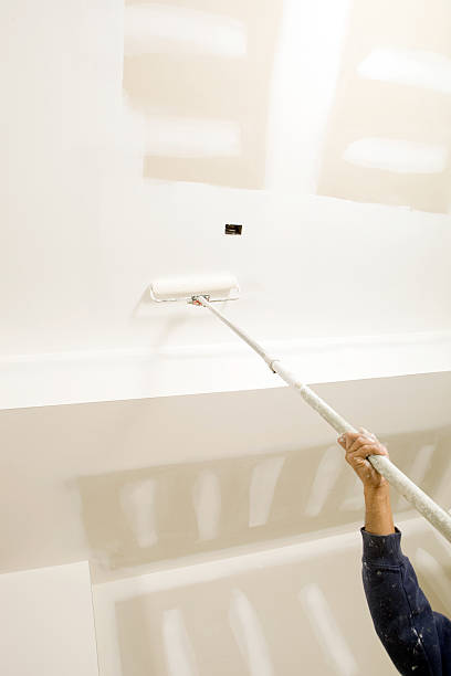 Mold Odor Removal Services in Donalsonville, GA