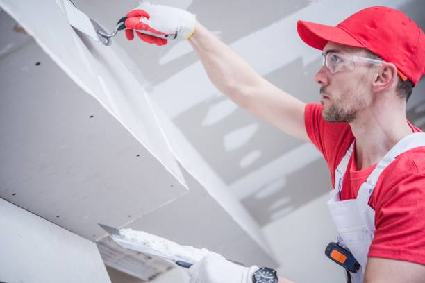Best Basement Mold Removal  in Donalsonville, GA